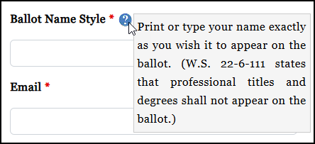 Ballot Name Style - More Information